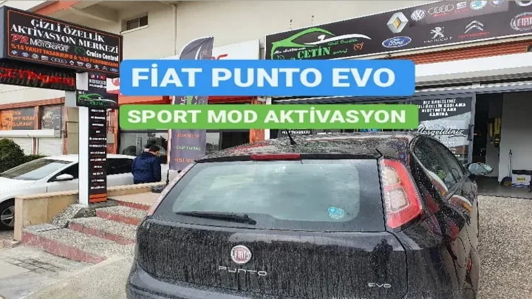 Fiat Marka Araçlar Yapılan Hizmetler