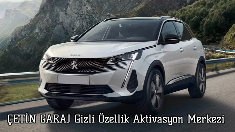 Peugeot 3008